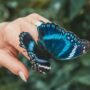 Butterfly on Hand